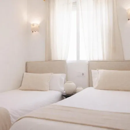 Rosa Primera Linea *