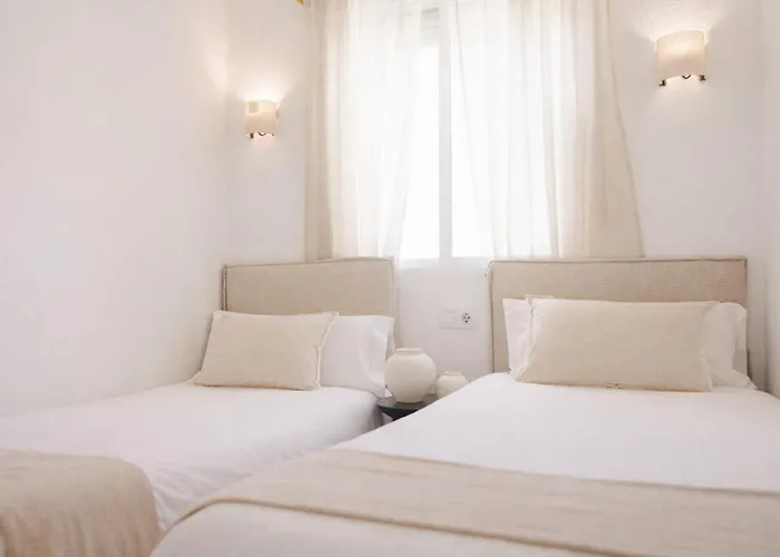 Rosa Primera Linea *