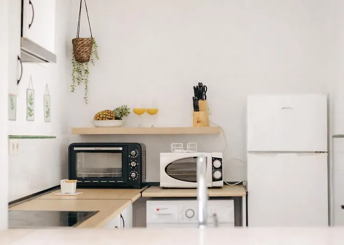 Rosa Primera Linea كونيل ذي لا فرونتيرا