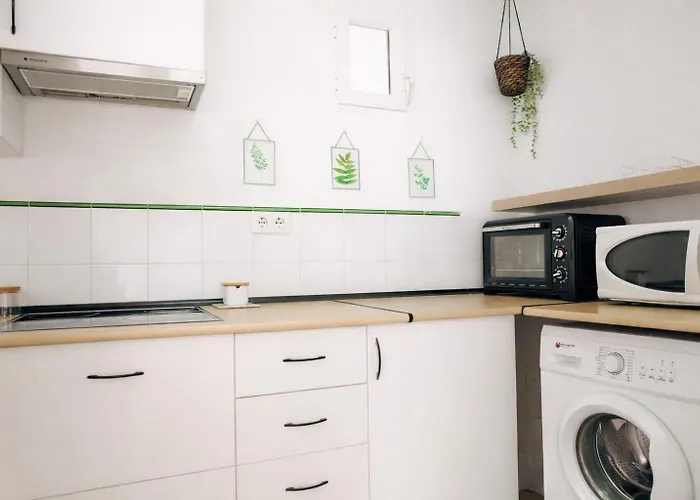 Rosa Primera Linea كونيل ذي لا فرونتيرا