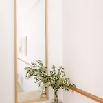 Rosa Primera Linea *