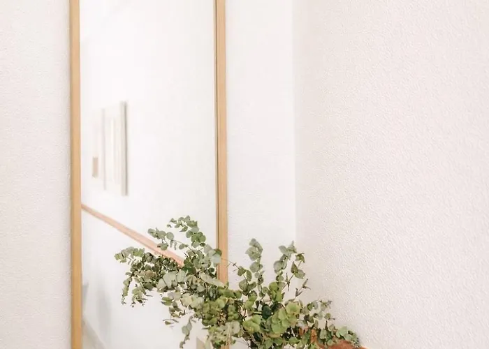 Rosa Primera Linea *