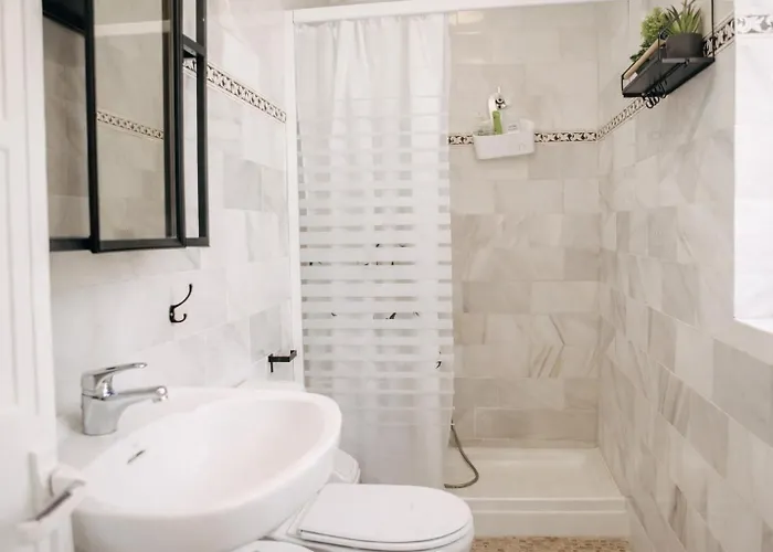 Rosa Primera Linea Tatil Evi *